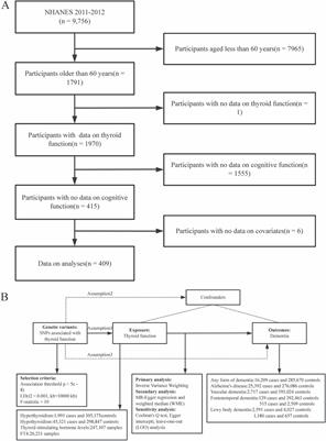 Hyperthyroidism, hypothyroidism, thyroid stimulating hormone, and dementia risk: results from the NHANES 2011–2012 and Mendelian randomization analysis